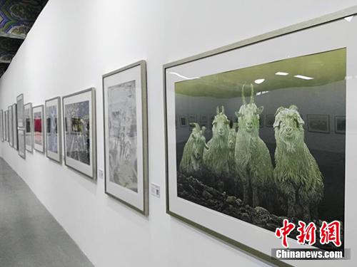 雞西版畫晉京展，黑土地藝術(shù)之花綻放北京